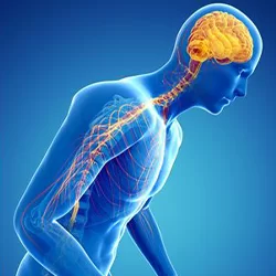 Services 9 جراحات الشلل الرعاش