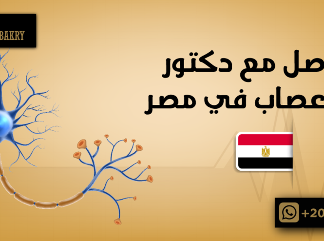 التواصل مع دكتور مخ واعصاب في مصر