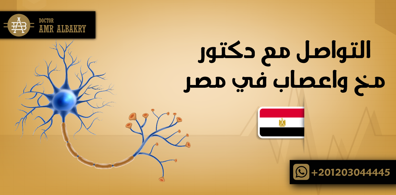 التواصل مع دكتور مخ واعصاب في مصر - Dr Amr Albakry
