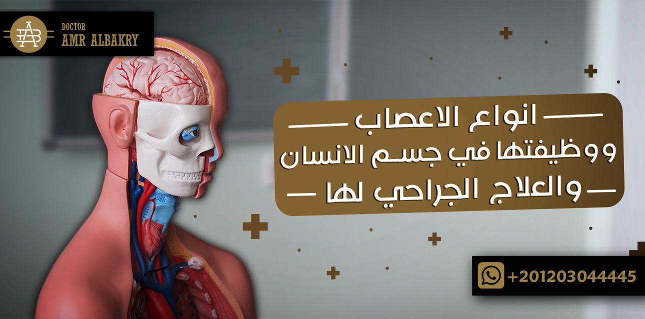 انواع الاعصاب